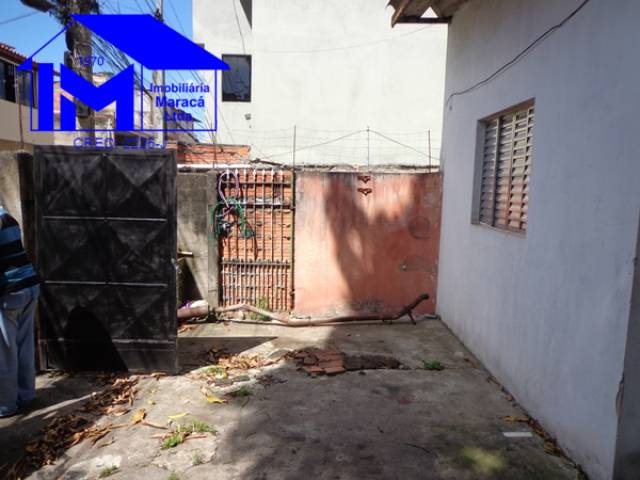 #1145 - Terreno para Venda em São Paulo - SP - 3